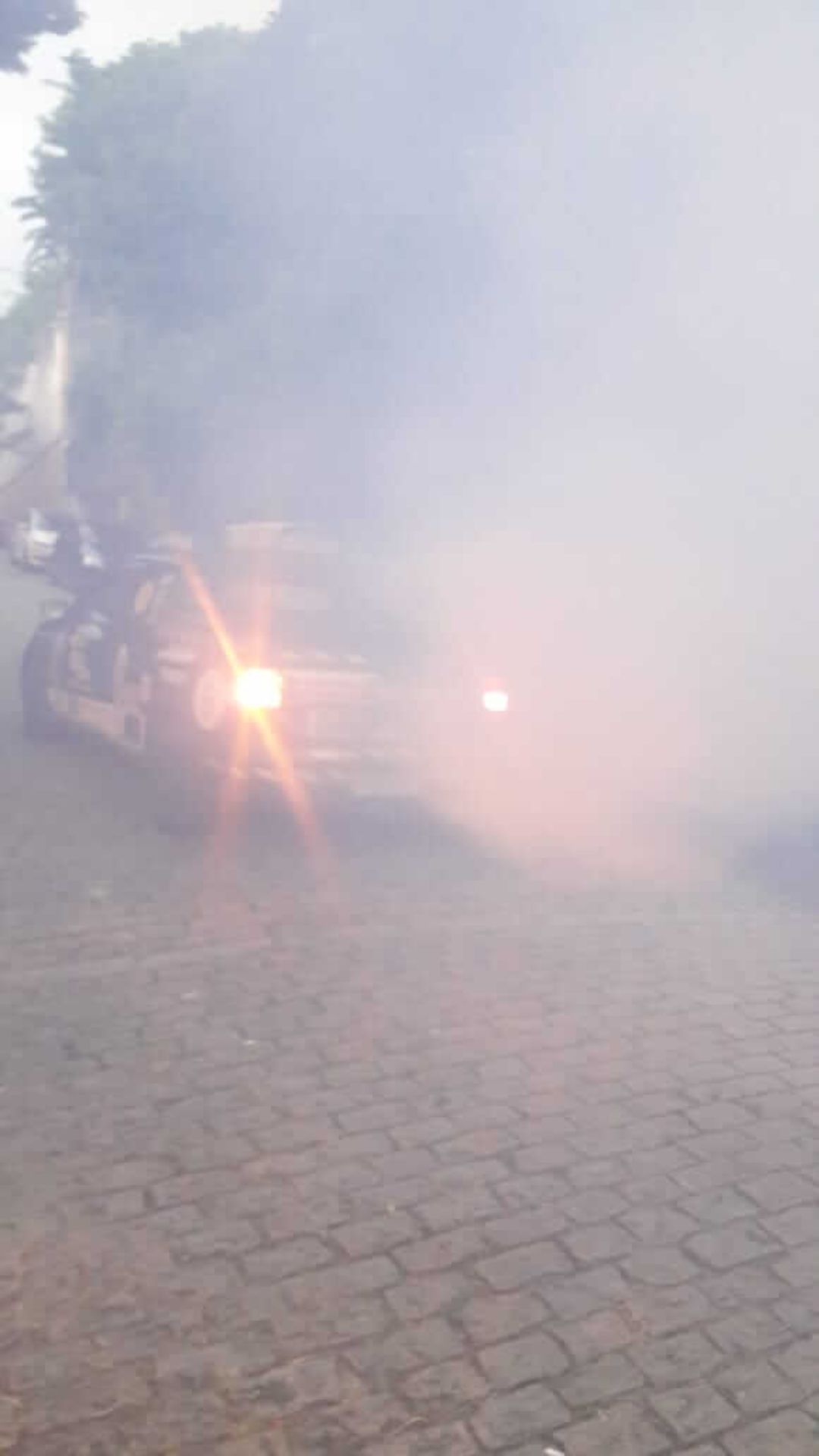 Dedetizadora de mosquito | Dedetização no Rio de Janeiro