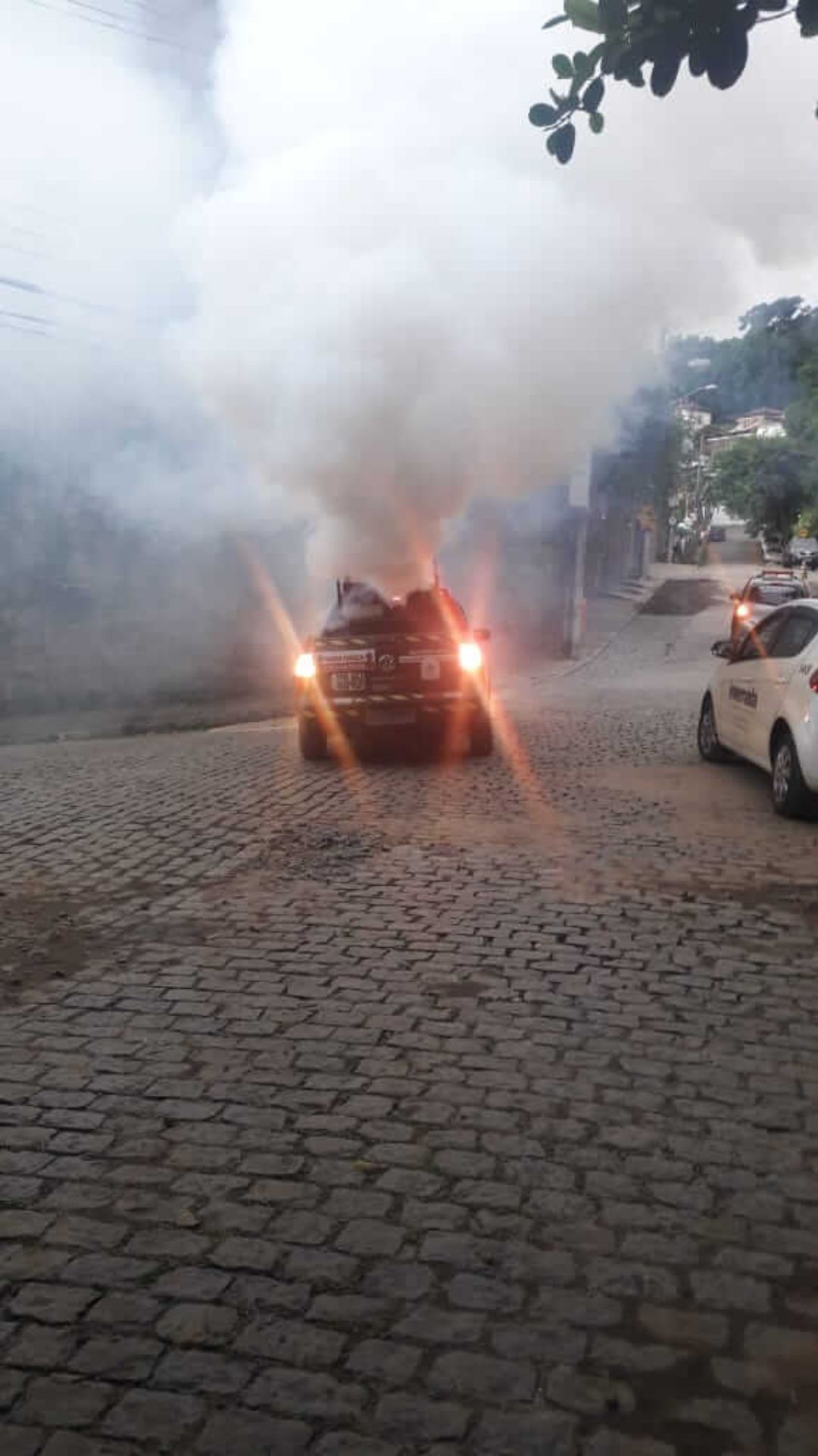 Dedetizadora de mosquito | Dedetização no Rio de Janeiro