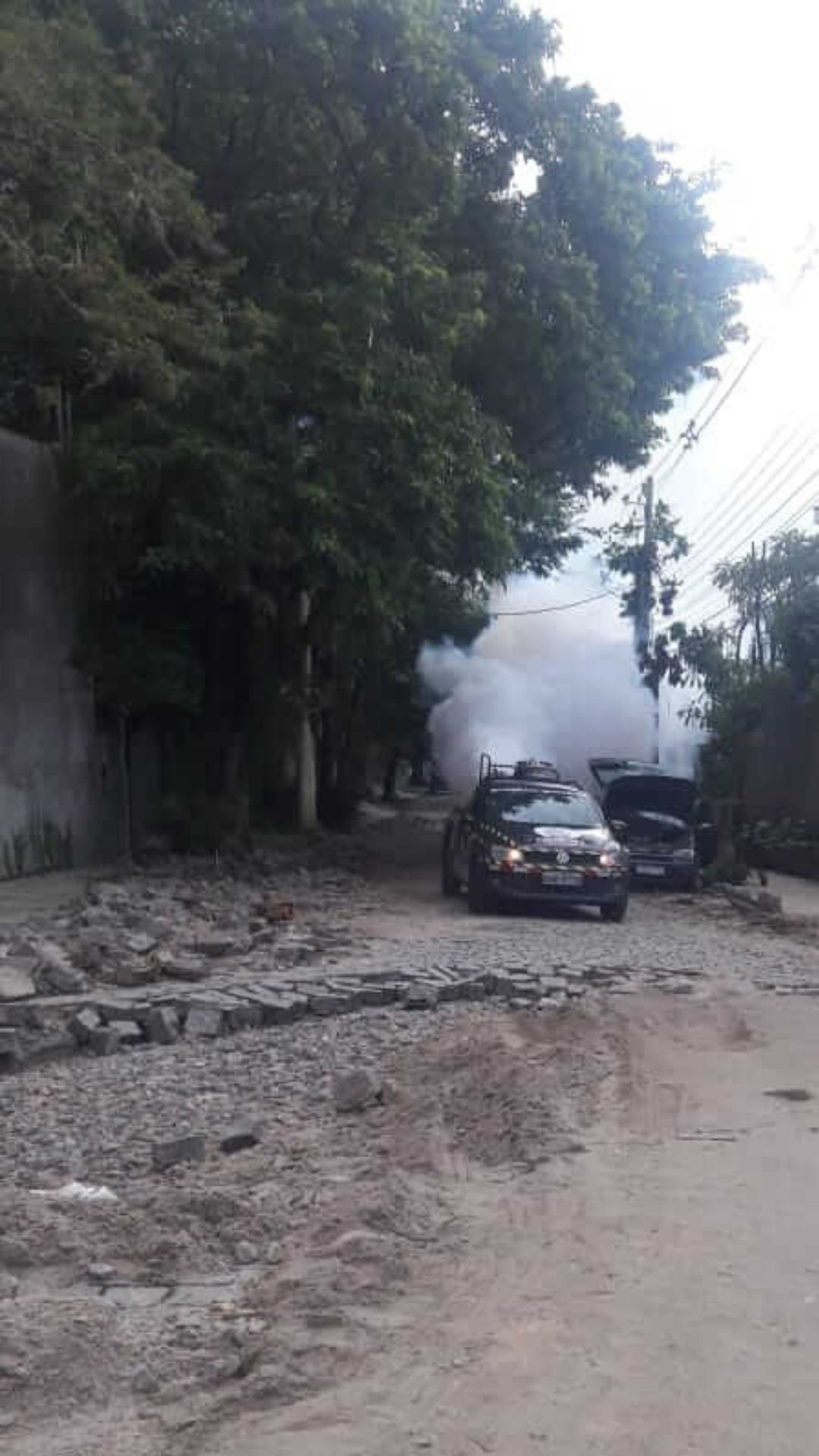 Dedetizadora de mosquito | Dedetização no Rio de Janeiro