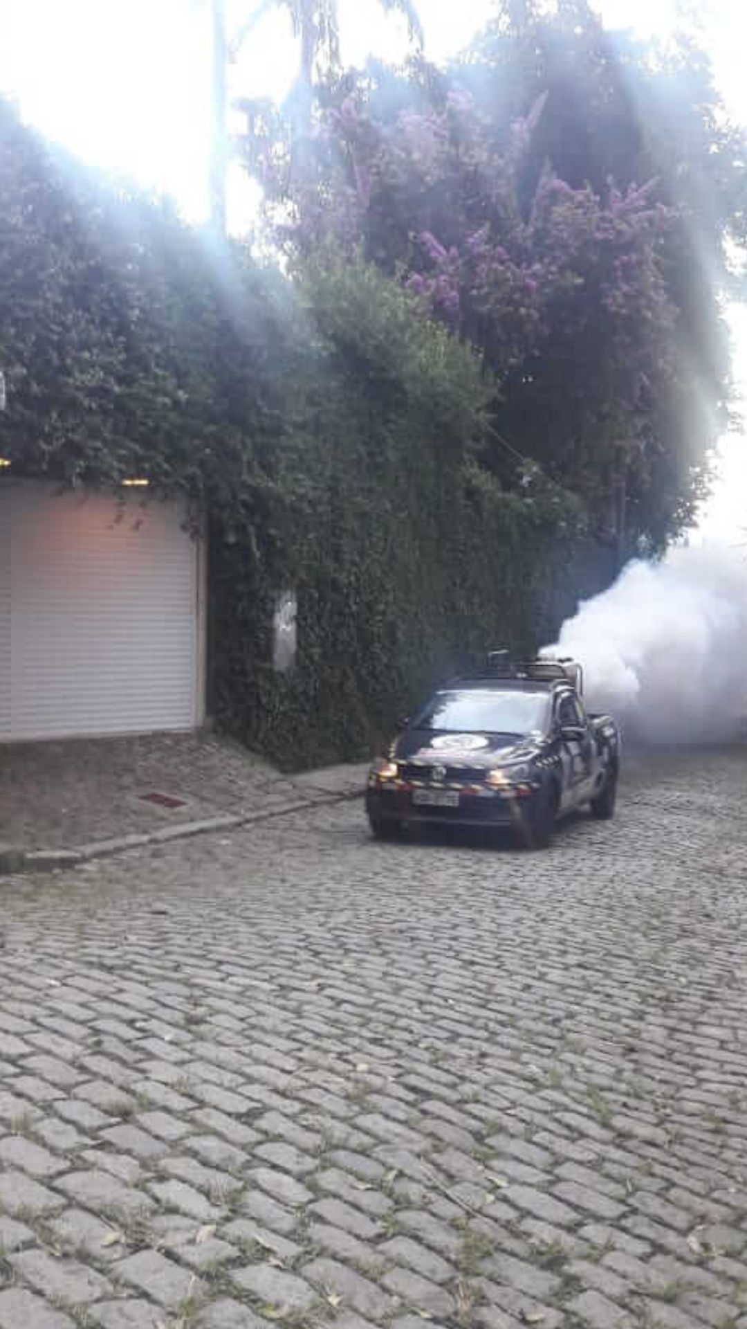 Dedetizadora de mosquito | Dedetização no Rio de Janeiro