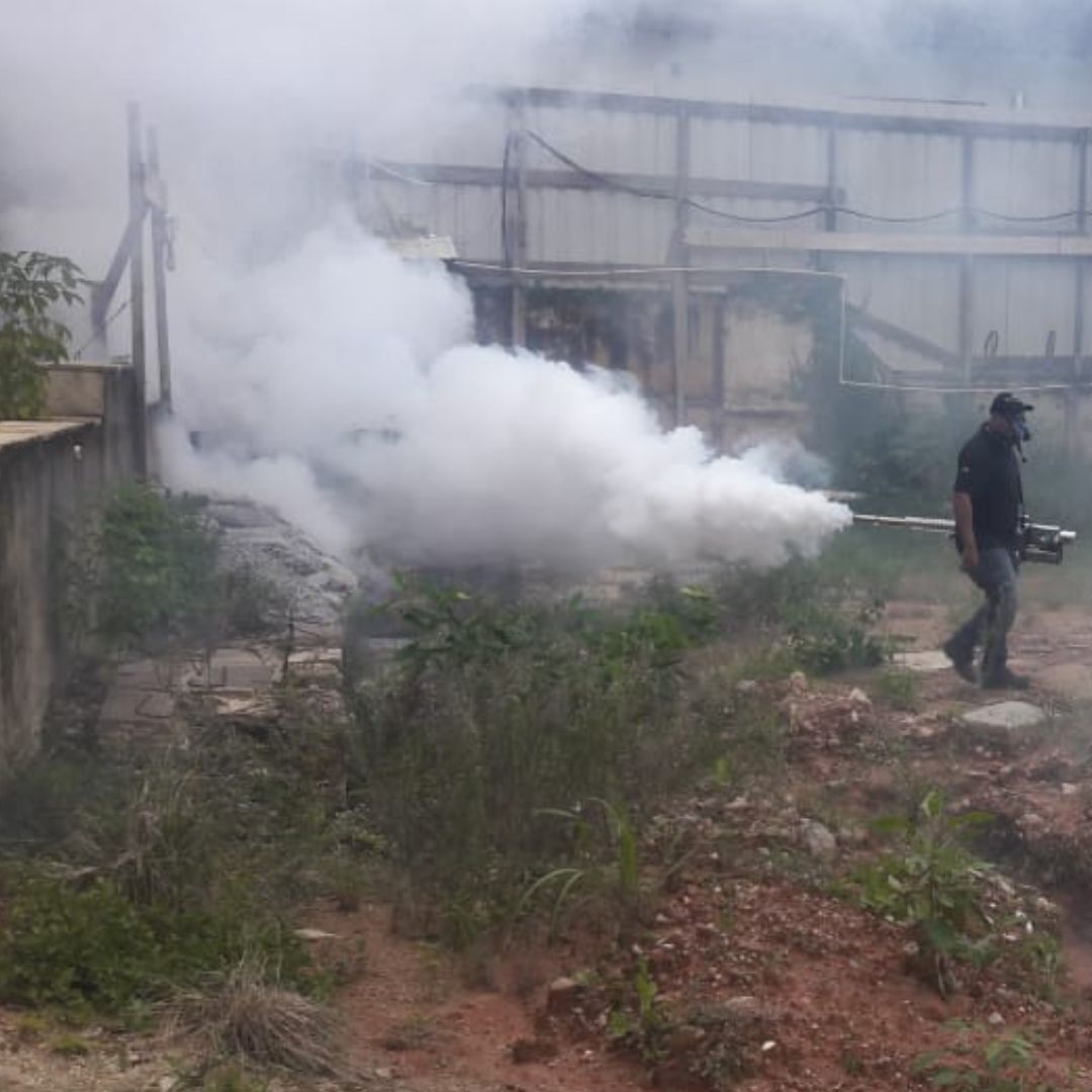 Dedetizadora de mosquito | Dedetização no Rio de Janeiro