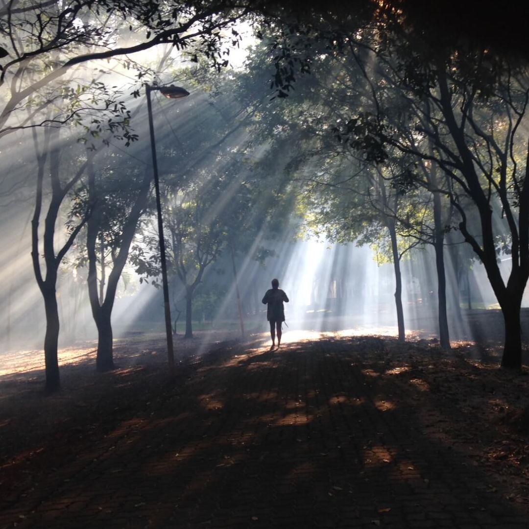 Dedetizadora de mosquito | Dedetização no Rio de Janeiro Dedetizadora de mosquito | Dedetização no Rio de Janeiro