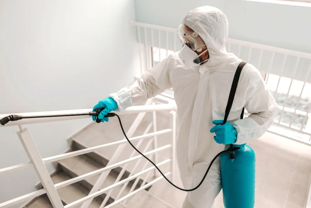 Sanitização - Barra e Recreio // Rio de Janeiro . Dedetizadora RJ