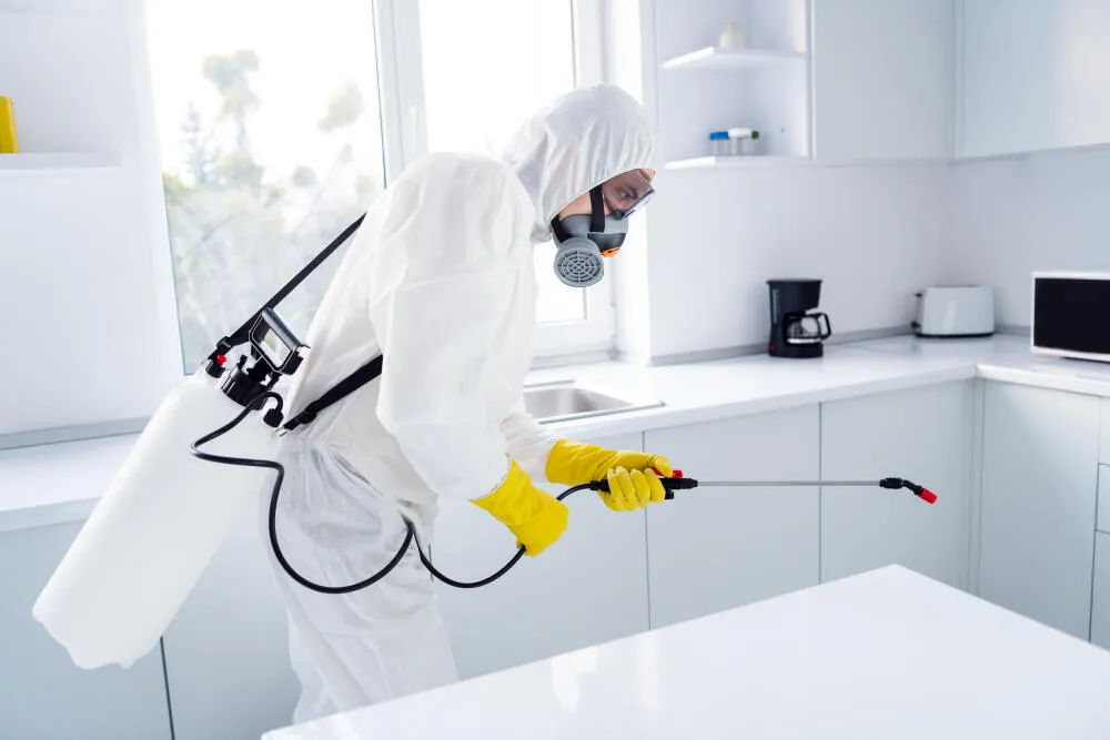 Sanitização Residencial - Barra e Recreio // Rio de Janeiro . Dedetizadora