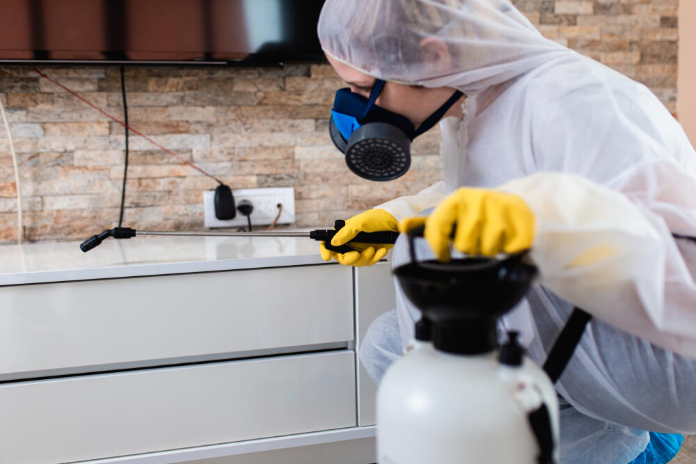 Sanitização Residencial - Barra e Recreio // Rio de Janeiro . Dedetizadora