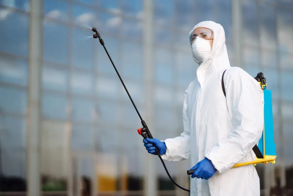 Dedetização de percevejos de cama no Recreio dos Bandeirantes: quando agir e como evitar reinfestações