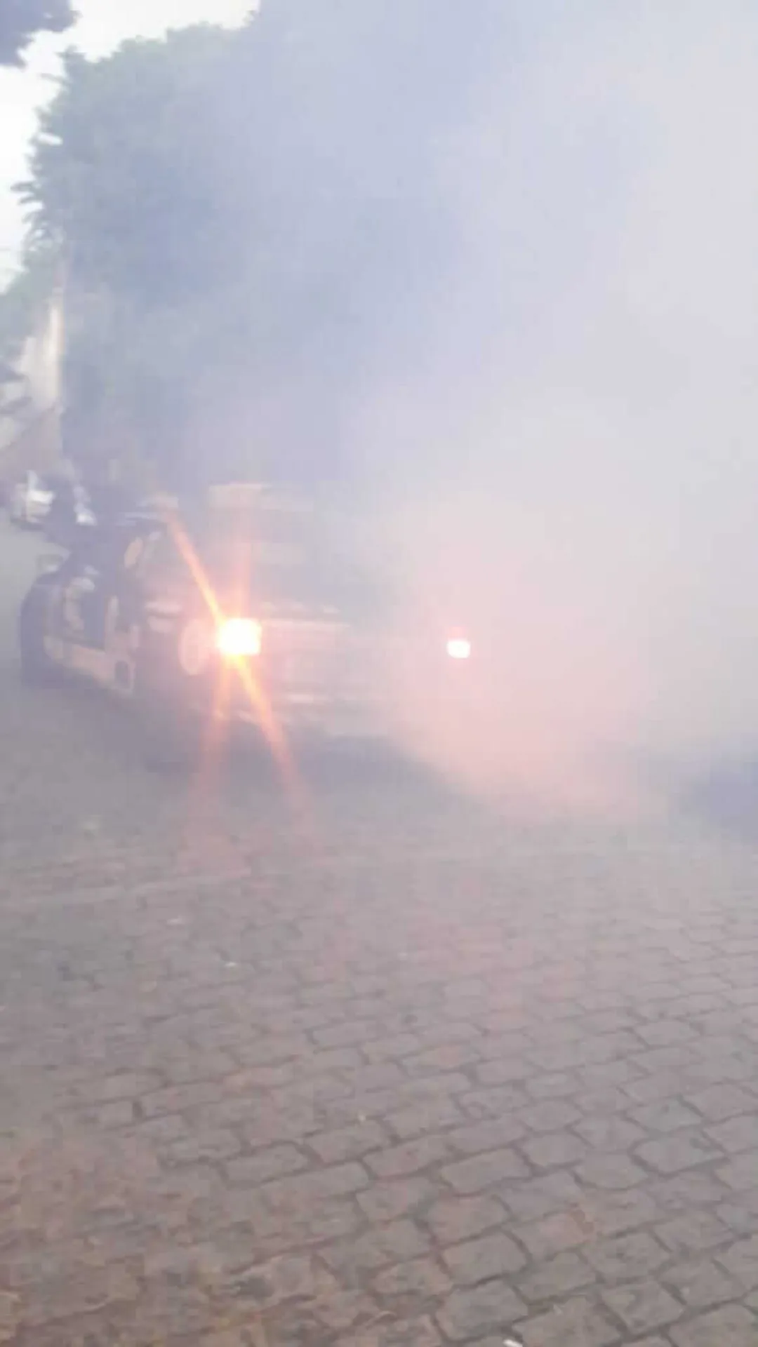 Dedetizadora de mosquito | Dedetização no Rio de Janeiro