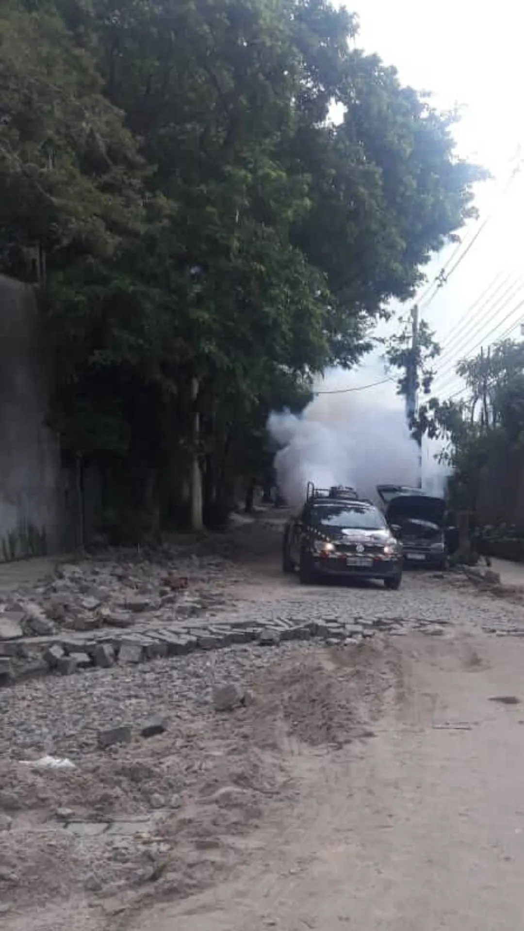 Dedetizadora de mosquito | Dedetização no Rio de Janeiro