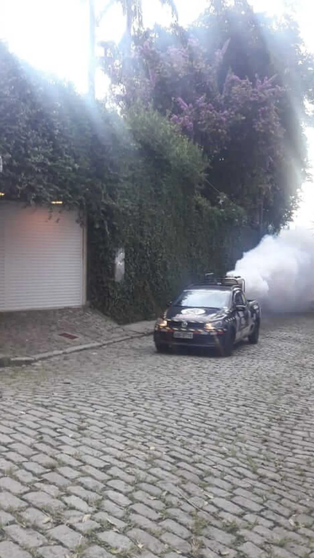 Dedetizadora de mosquito | Dedetização no Rio de Janeiro