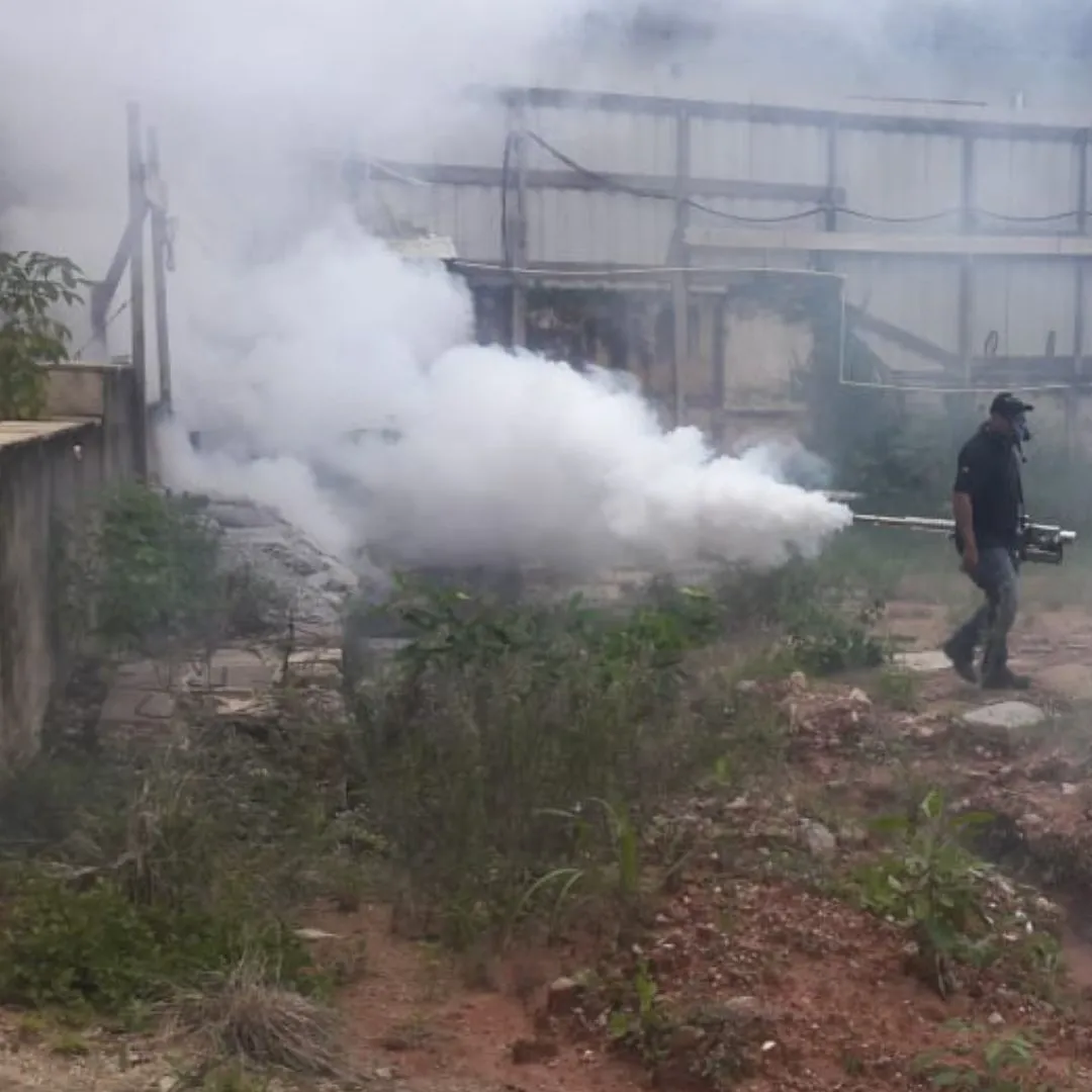 Dedetizadora de mosquito | Dedetização no Rio de Janeiro