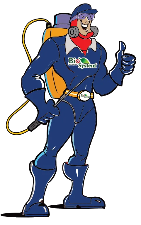 Orçamento Dedetização no RJ // Dedetizadora no Rio de janeiro