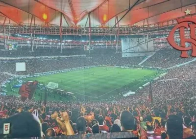 Fotos de Serviços de Descontaminação e Dedetização // RJ