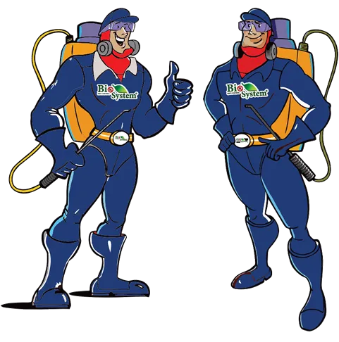 Dedetizadora | Pragas urbanas | Empresa de dedetização