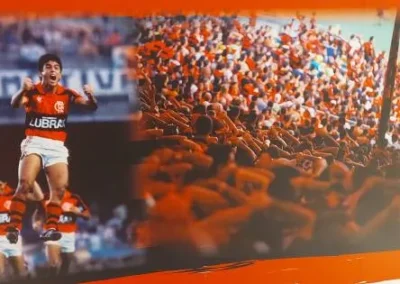 Fotos de Serviços de Descontaminação e Dedetização // RJ