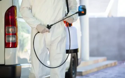 Desratização em supermercados: riscos sanitários e exigências legais